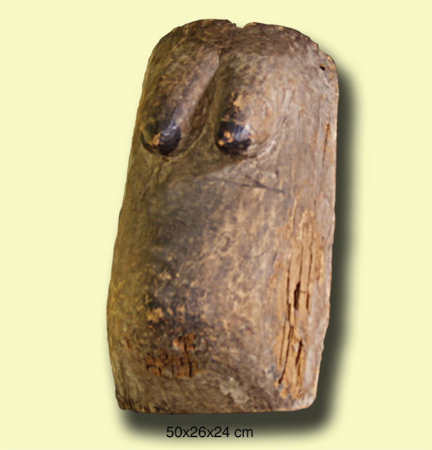 torsoweiblich